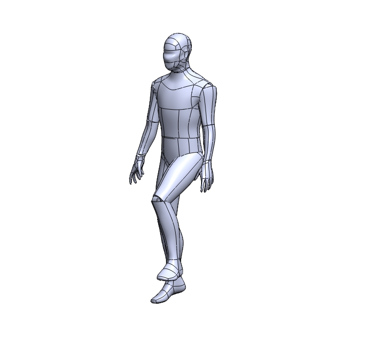人体模型8