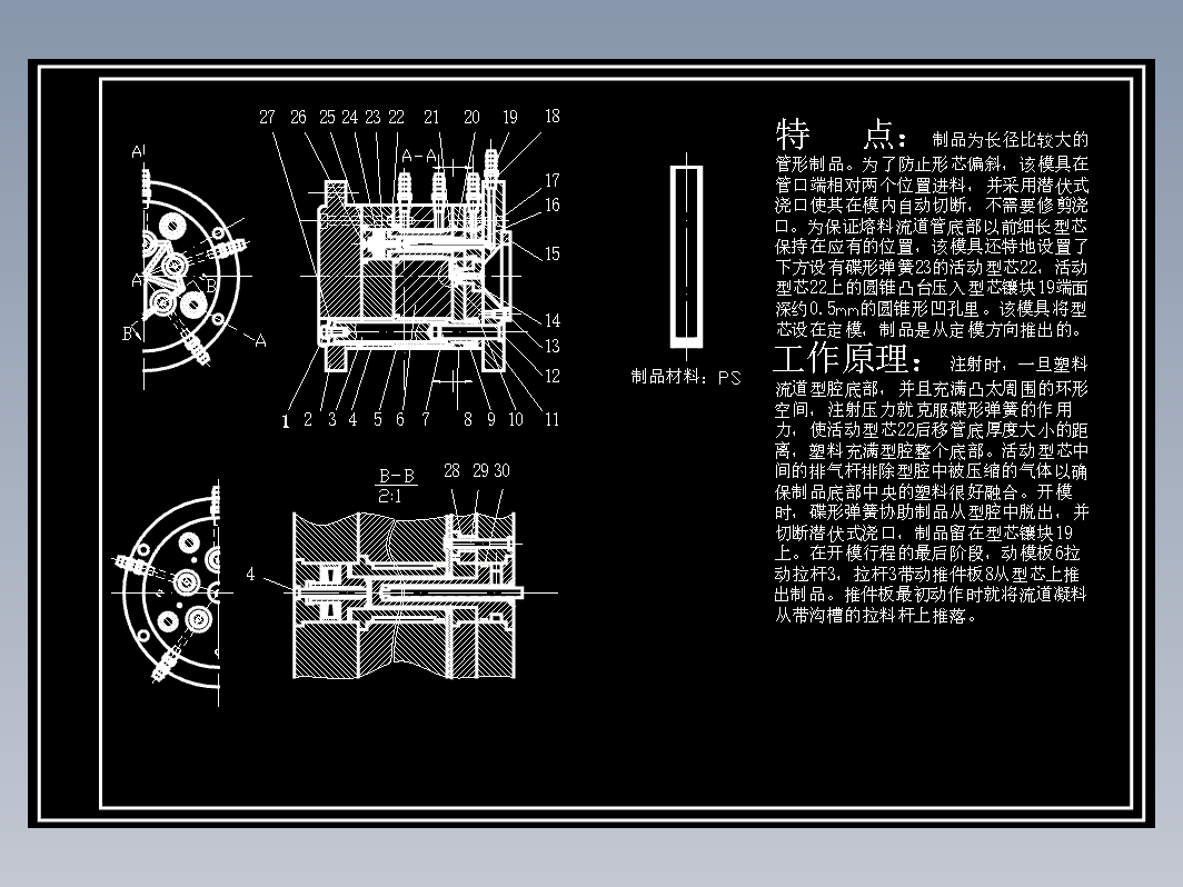 14.长药片管注塑模