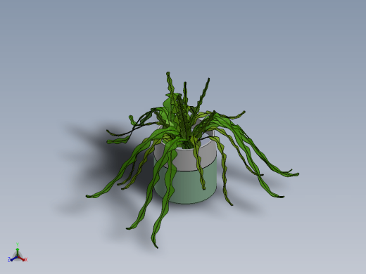 简易植物盆栽缩略图