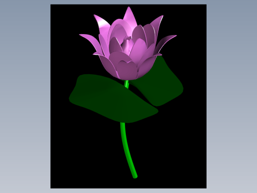 荷花CAD