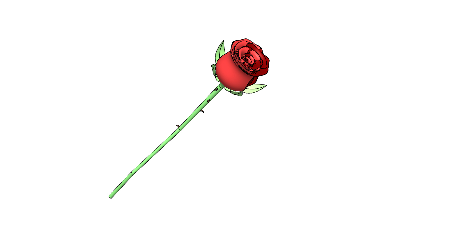 一只带刺的玫瑰花3D