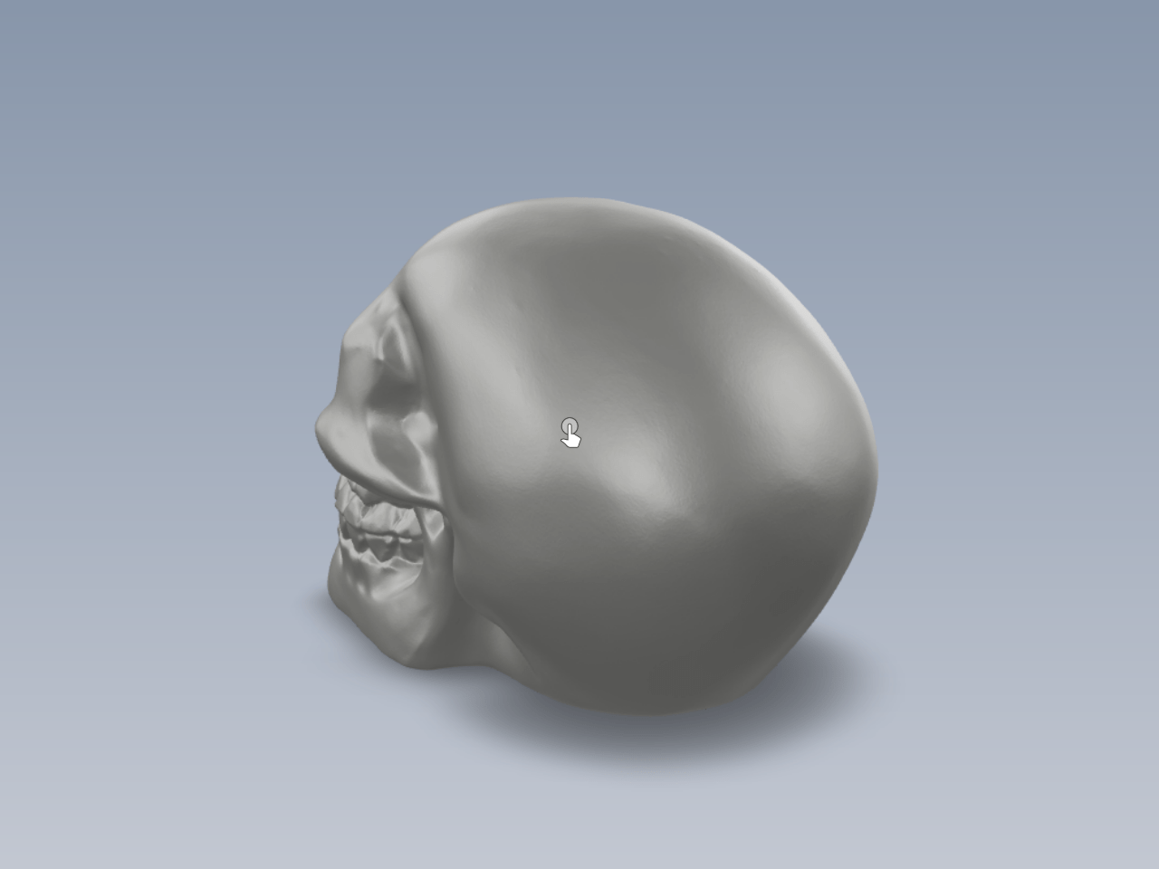 骷髅头3D专用打印图纸