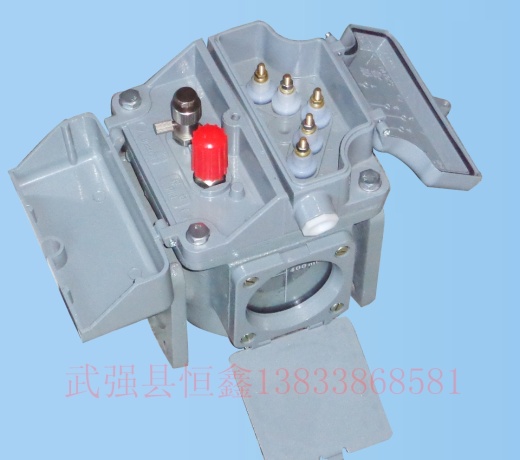 变压器QJ-50气体继电器缩略图