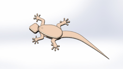 lizard-蜥蜴缩略图