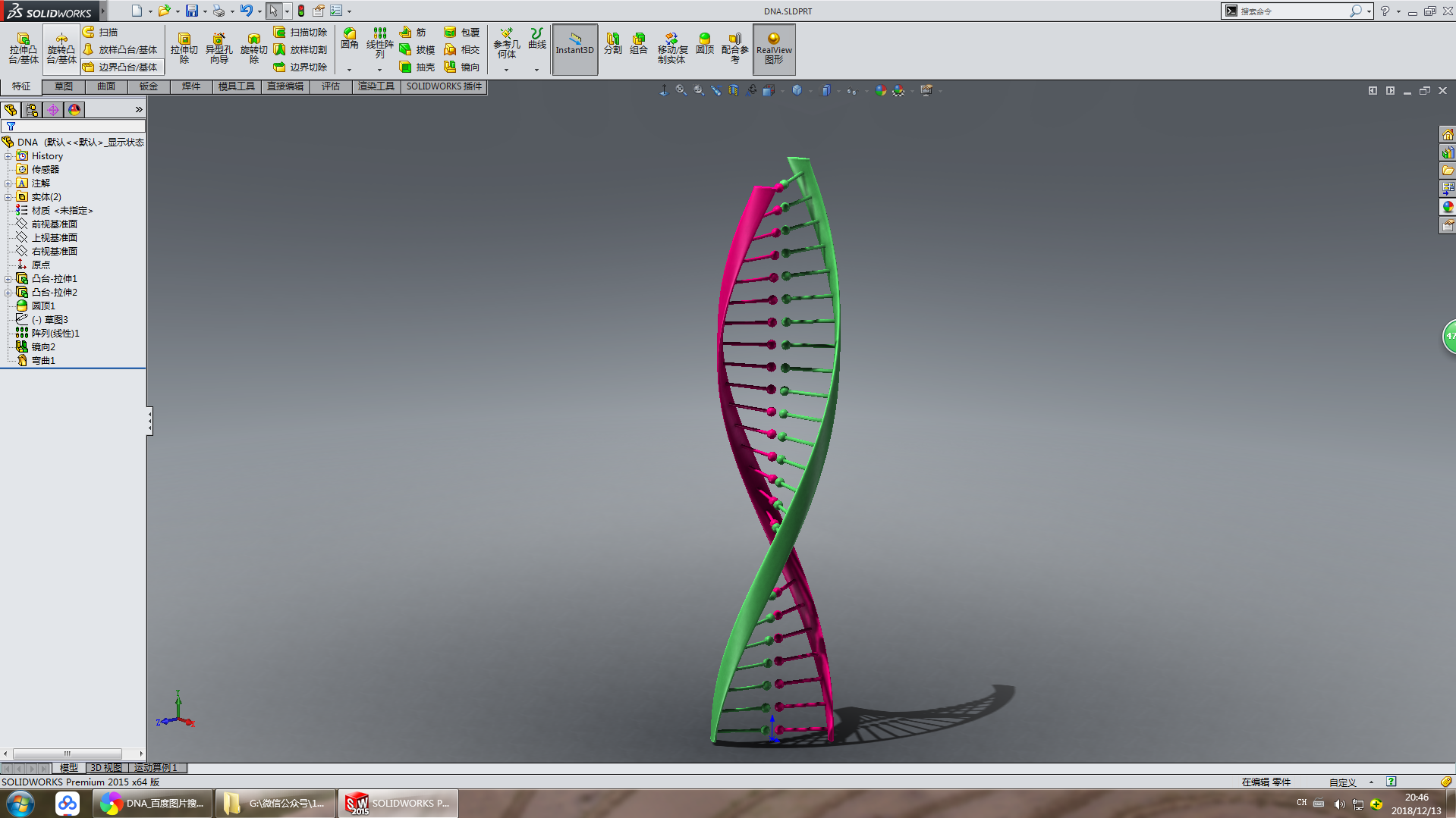 DNA三维模型