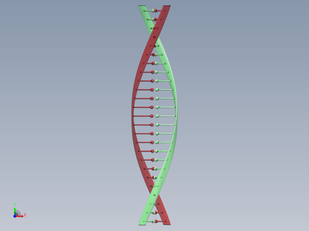 DNA三维模型