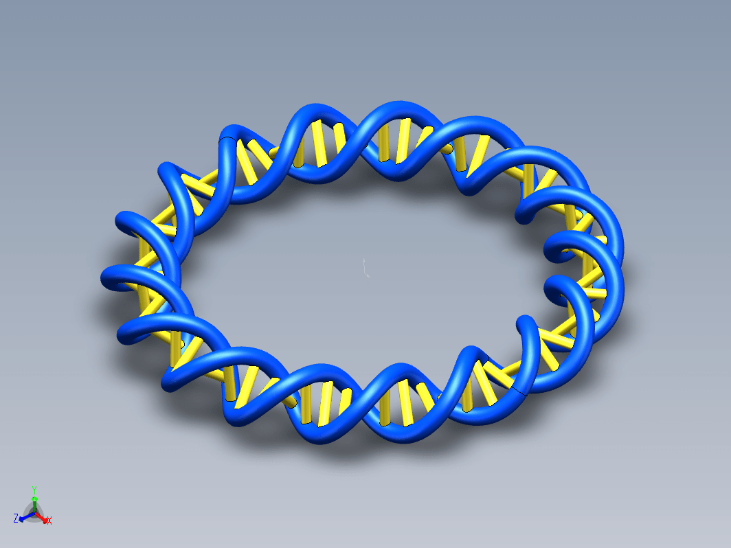 双螺旋DNA手链