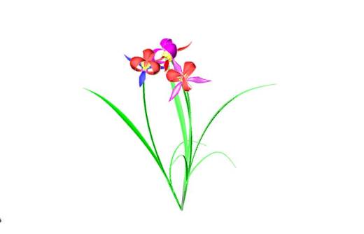 兰花 3D模型缩略图