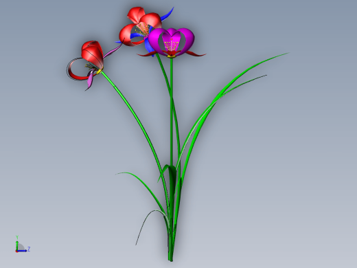 兰花 3D模型缩略图