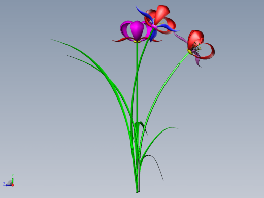 兰花 3D模型缩略图