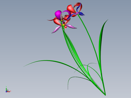 兰花 3D模型缩略图