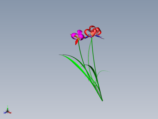 兰花 3D模型缩略图