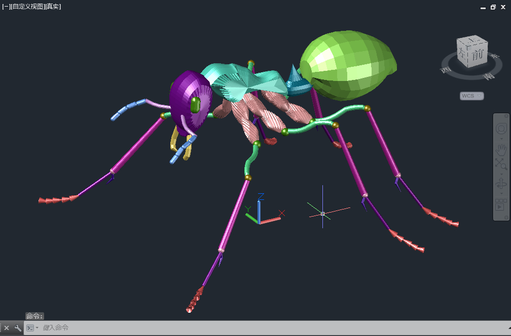 蚂蚁 3d模型