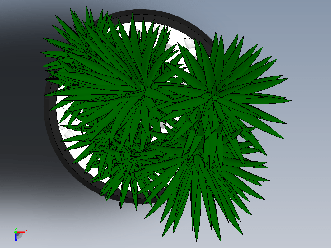 lant-24室内绿植盆栽