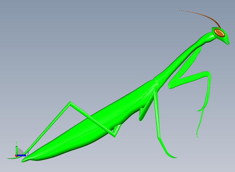昆虫螳螂模型