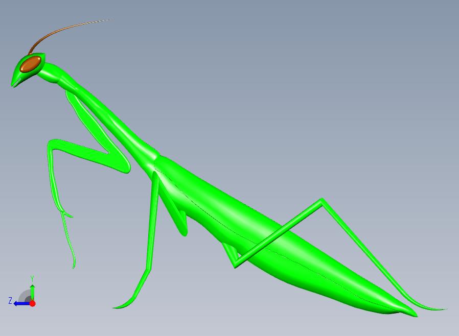 昆虫螳螂模型