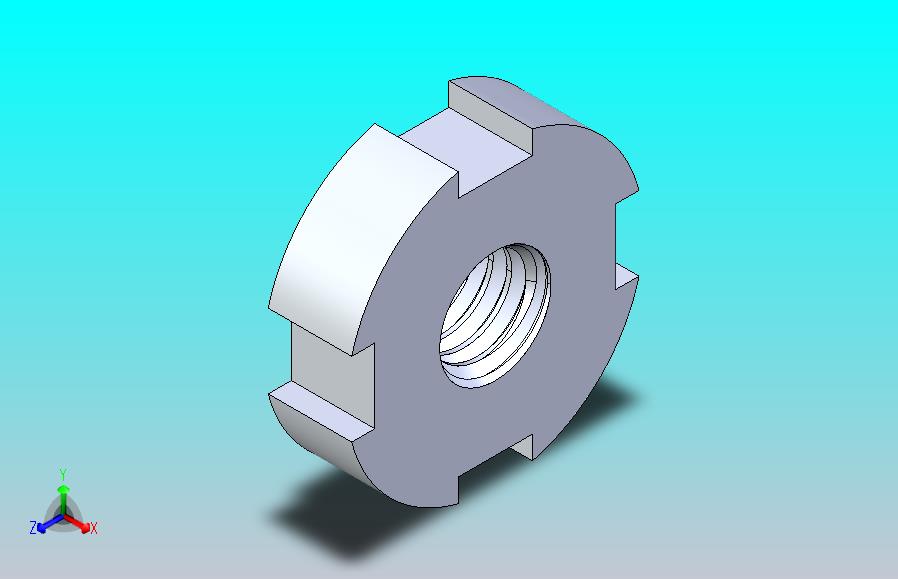 M6 SLOTTED ROUND NUT FOR HOOK SPANNER开槽圆螺母.IGS