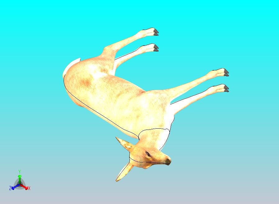 白色麋鹿
