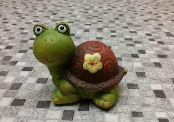 小乌龟