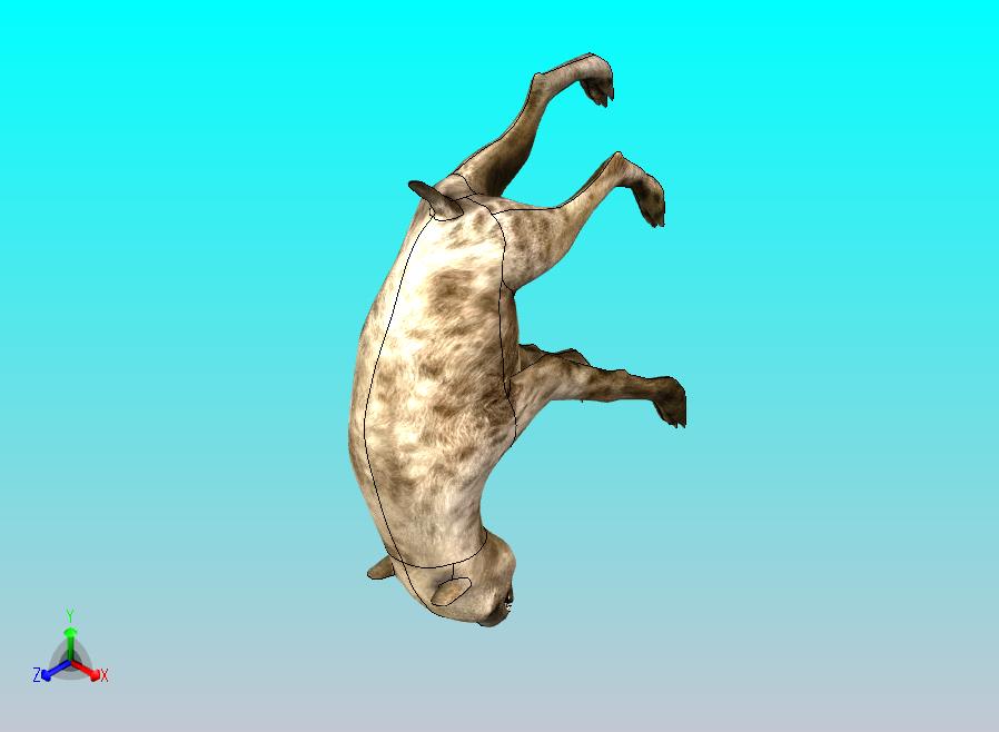 土狼