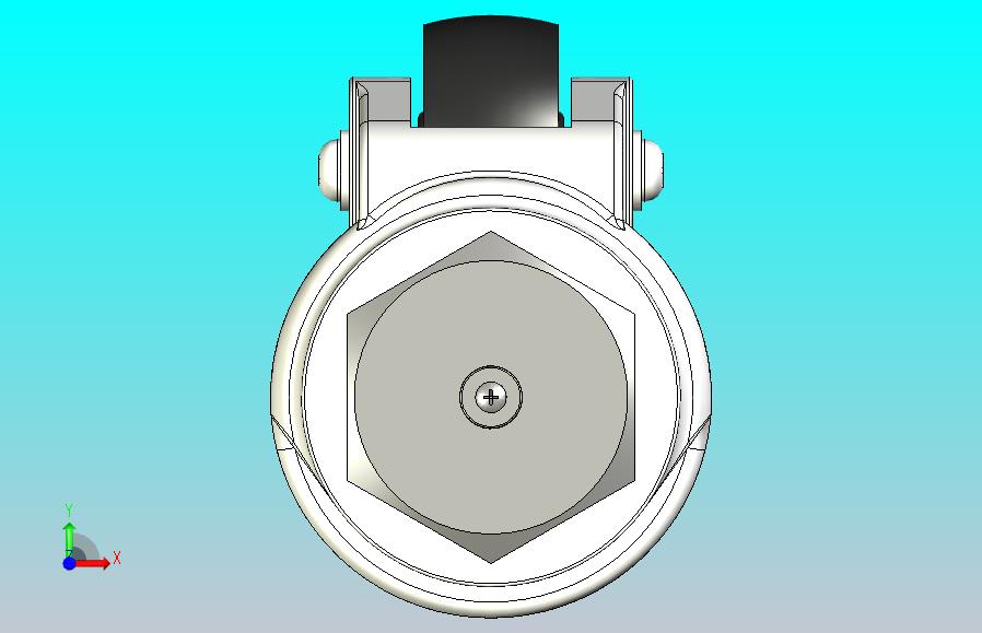 旋转车轮d50mm，带锁定功能，承重300 kg