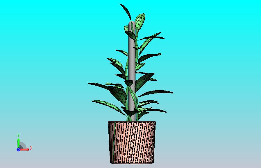 植物