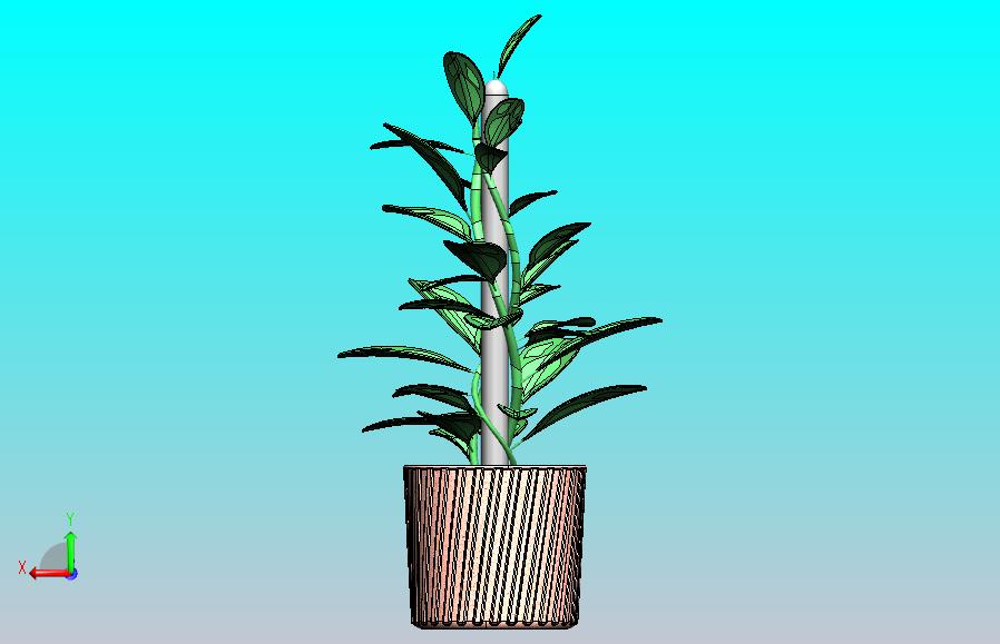 植物