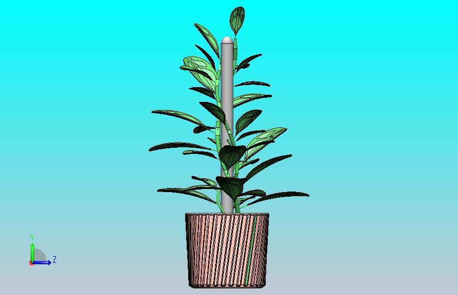 植物