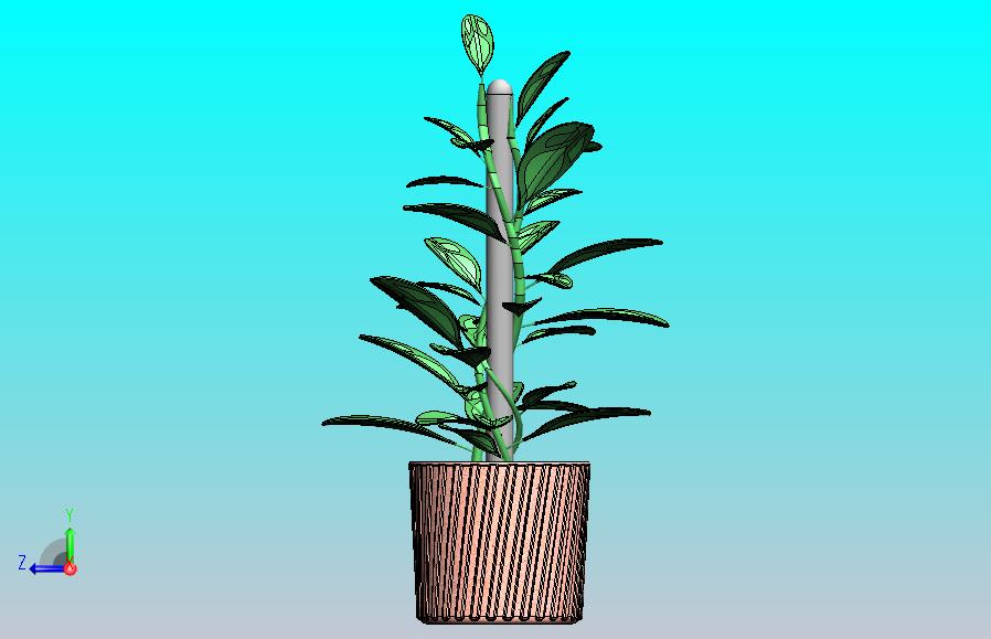 植物