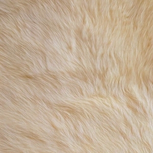 防疫虎