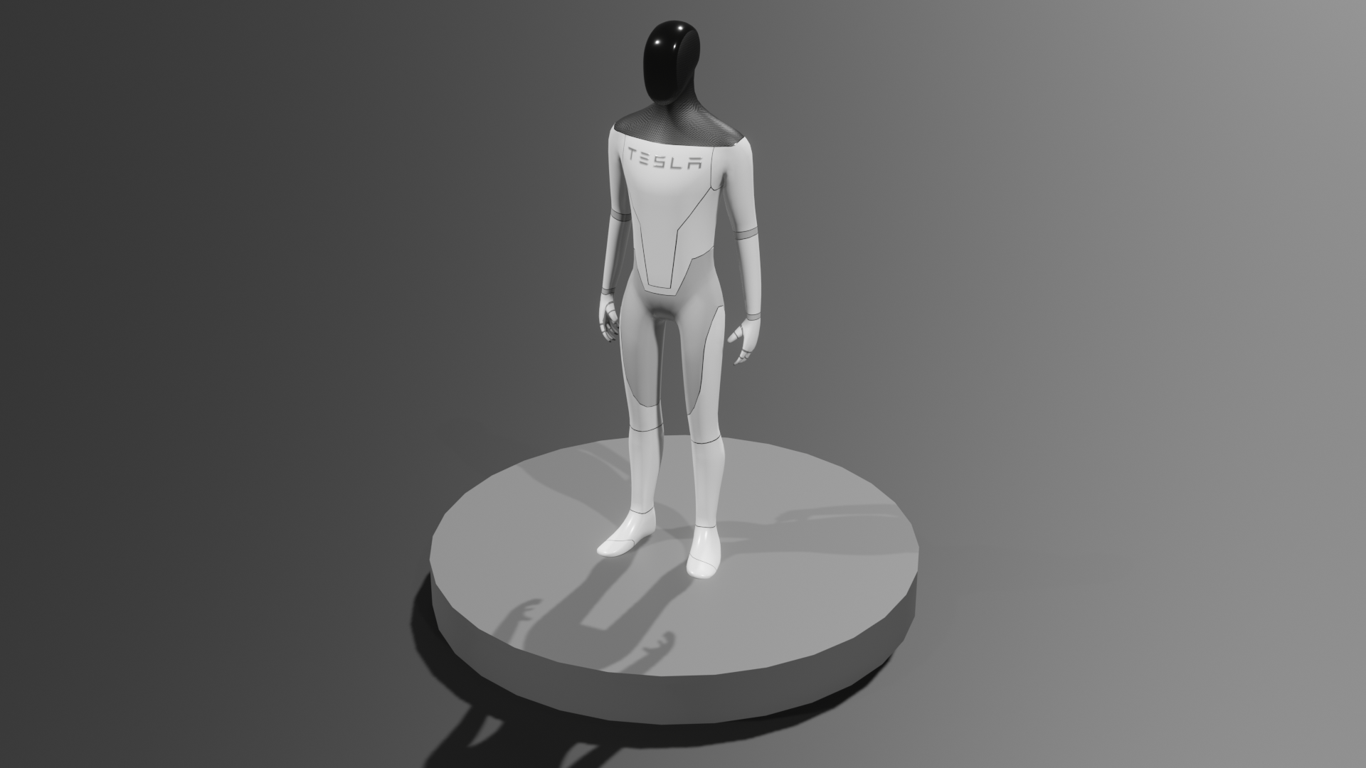特斯拉-人形机器人Bot