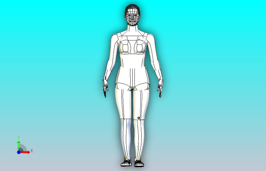 胫骨髓内钉模型3D图纸模型