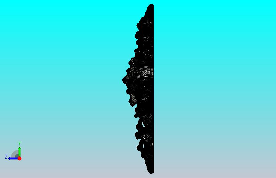 海星