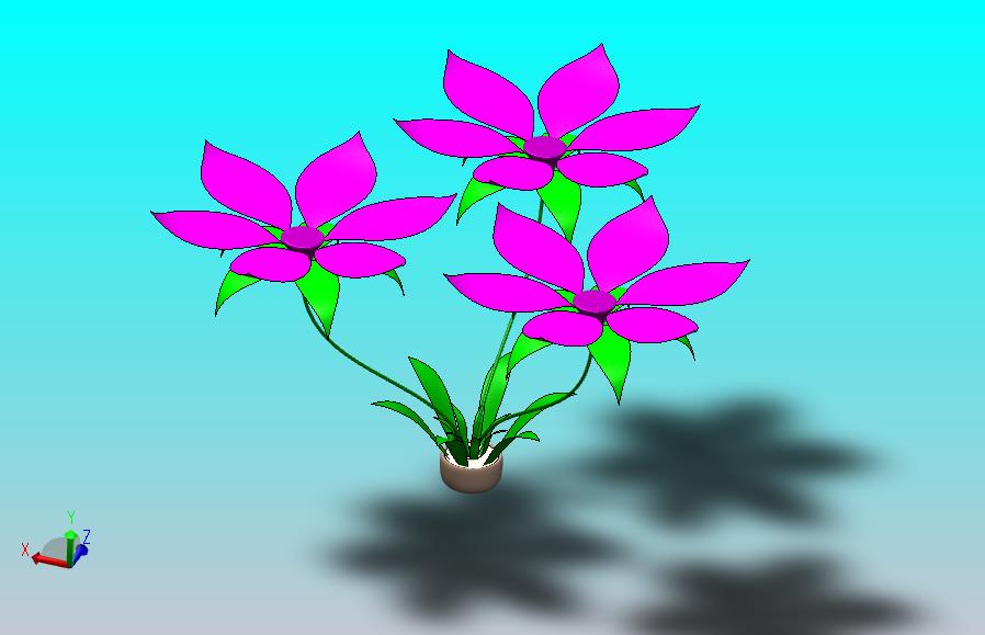 花卉植物