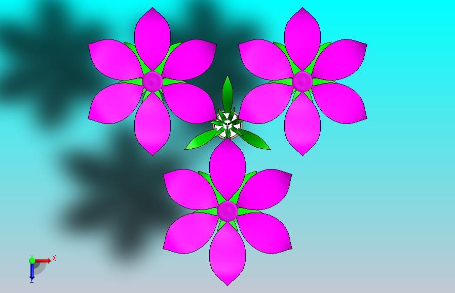 花卉植物