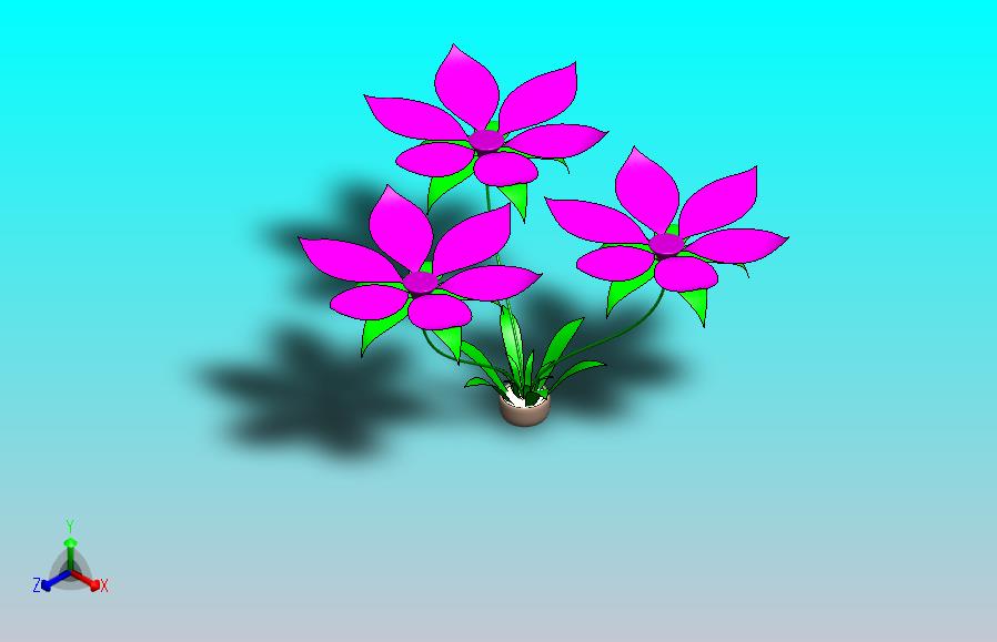花卉植物