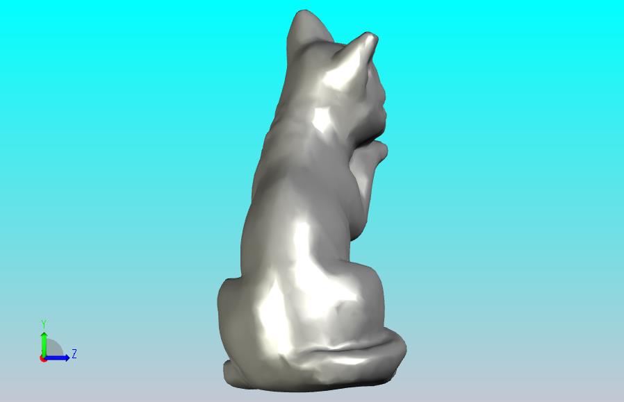 宠物猫