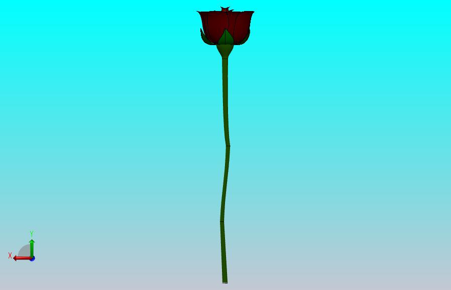 玫瑰
