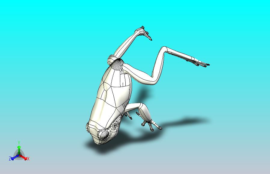 青蛙