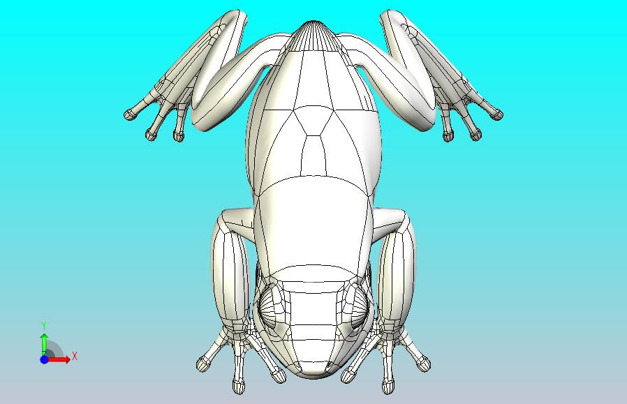 青蛙
