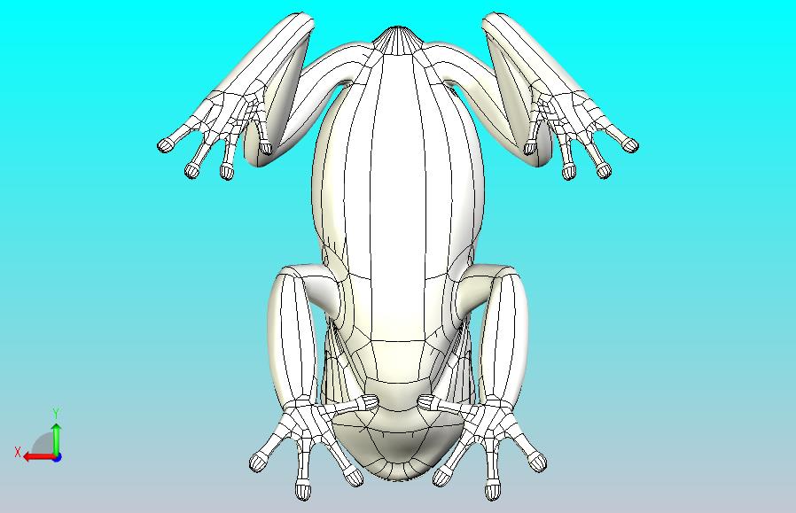 青蛙