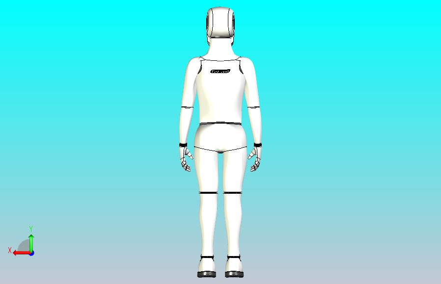 人类男性和儿童