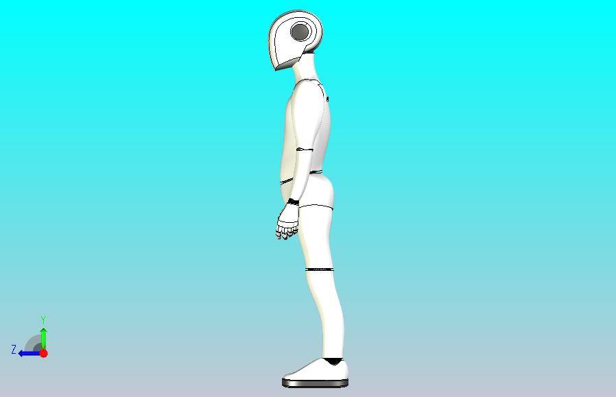 人类男性和儿童