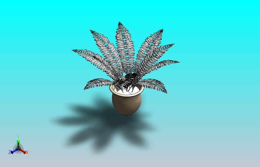 室内植物-大型蕨类植物