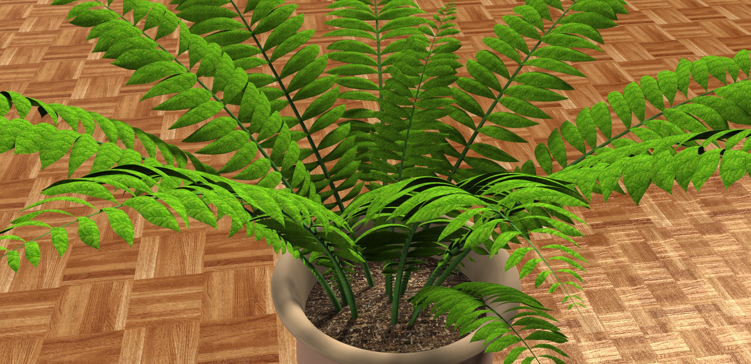 室内植物-大型蕨类植物