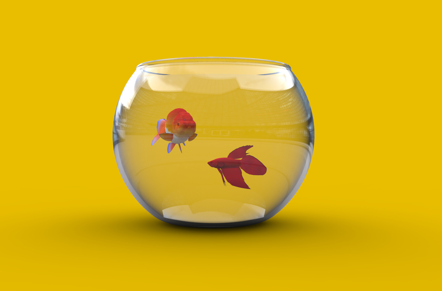 水族馆