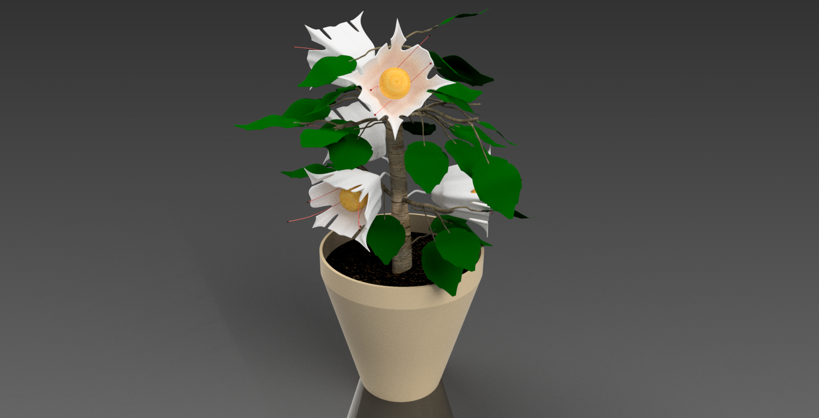 盆栽植物 (2)