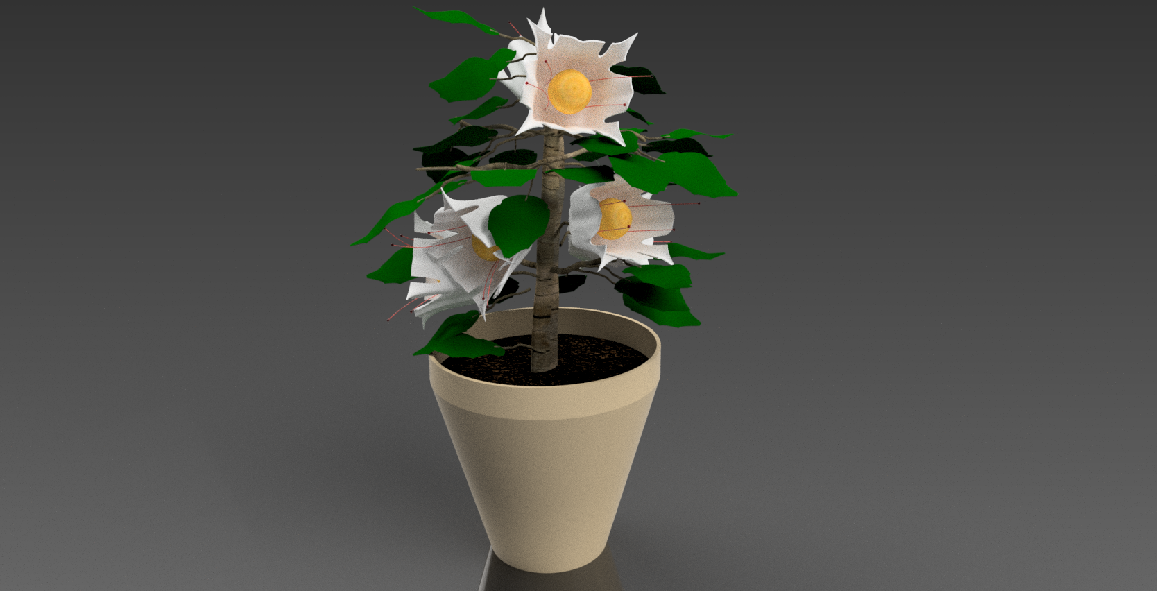 盆栽植物 (2)