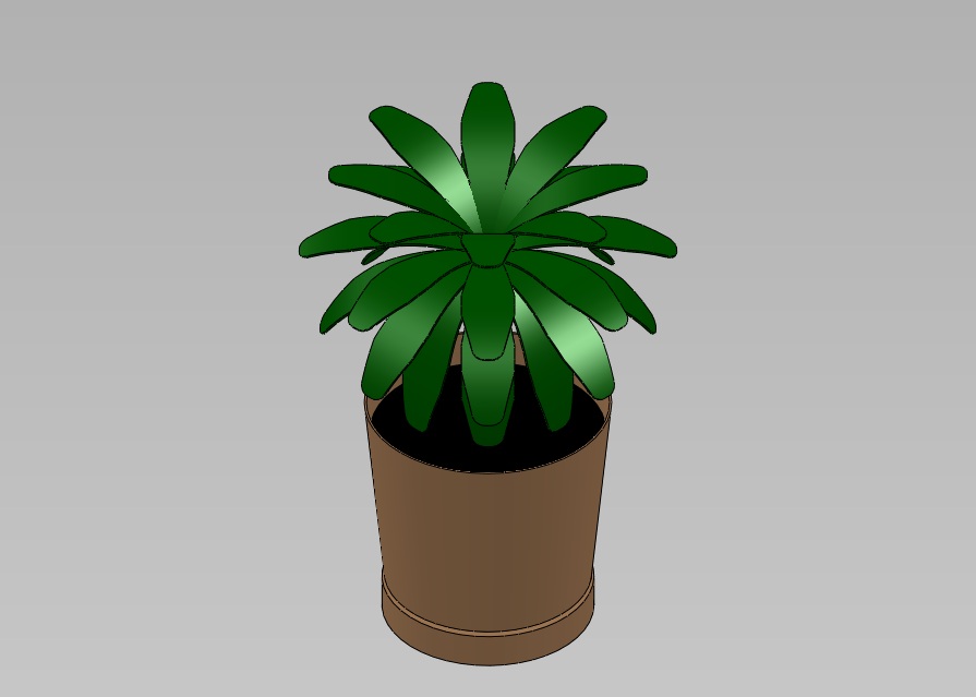 盆栽植物