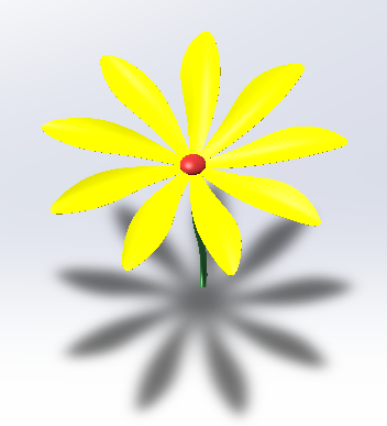 小黄花模型